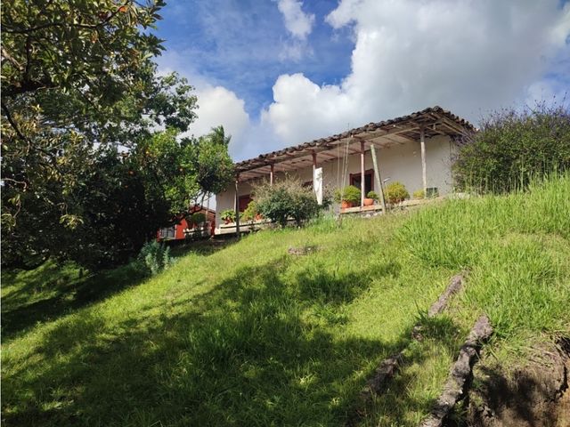 place photo 53