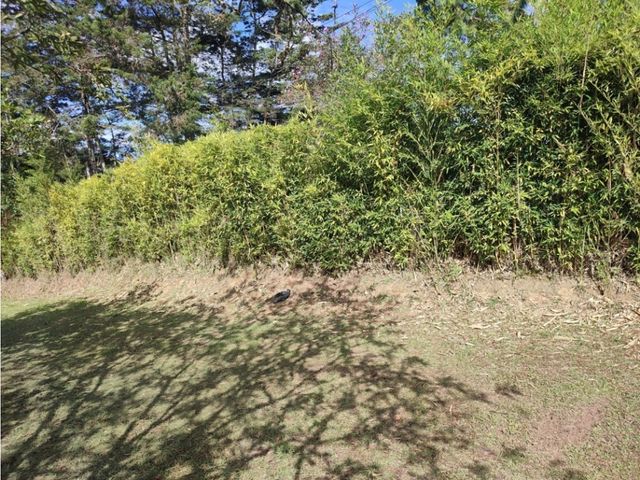 place photo 57