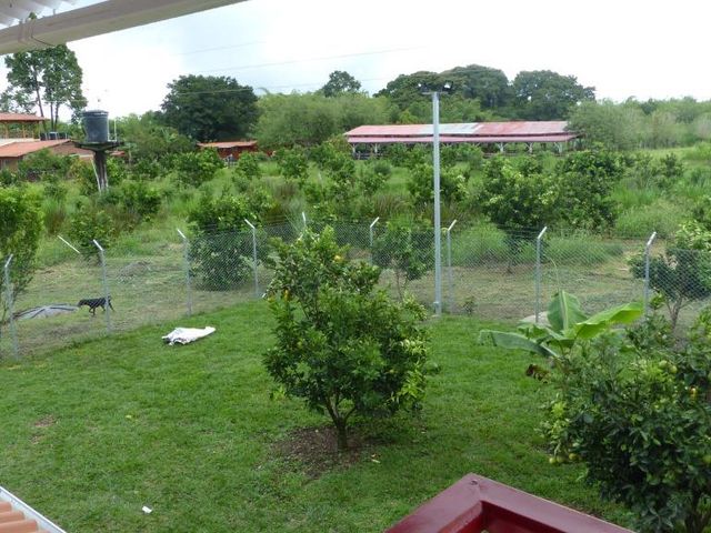 place photo 33