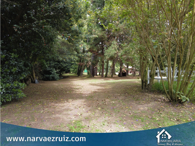 place photo 52