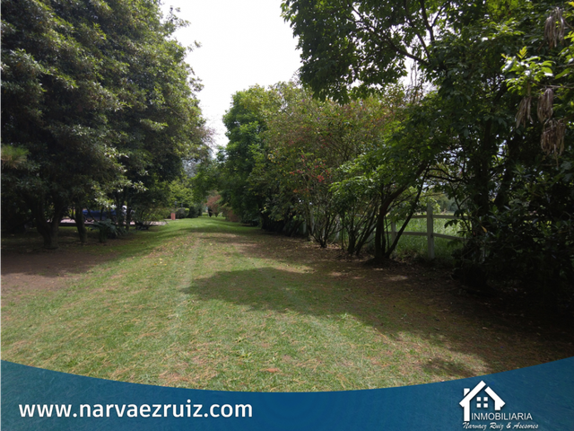 place photo 56
