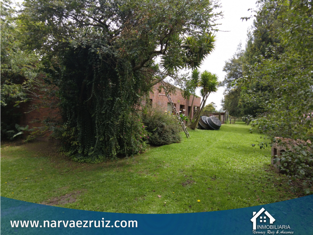 place photo 58
