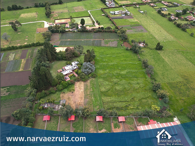 place photo 61
