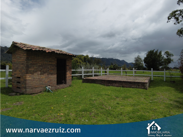 place photo 45