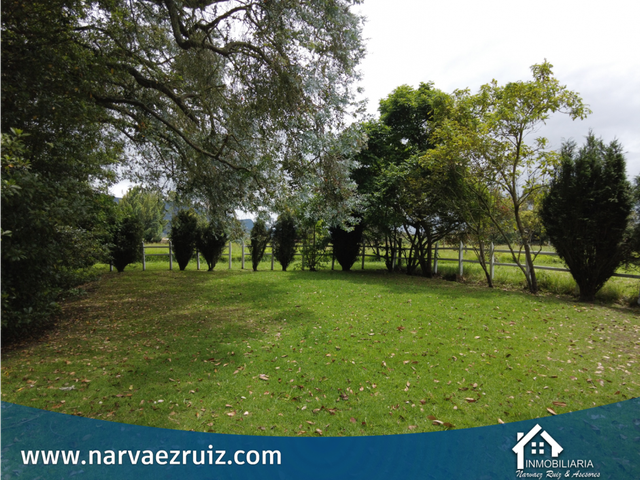 place photo 57
