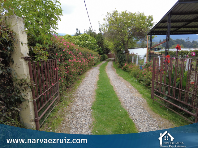 place photo 49