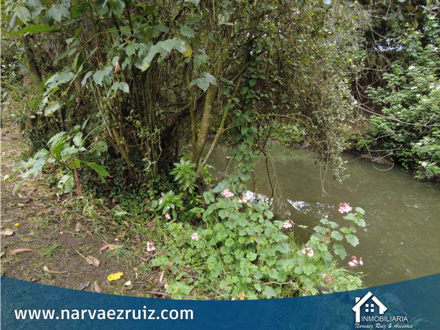 place photo 48