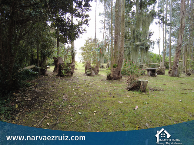 place photo 46