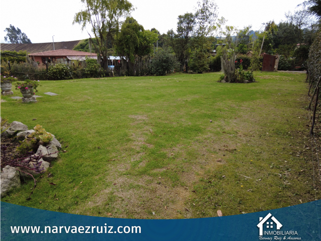 place photo 44