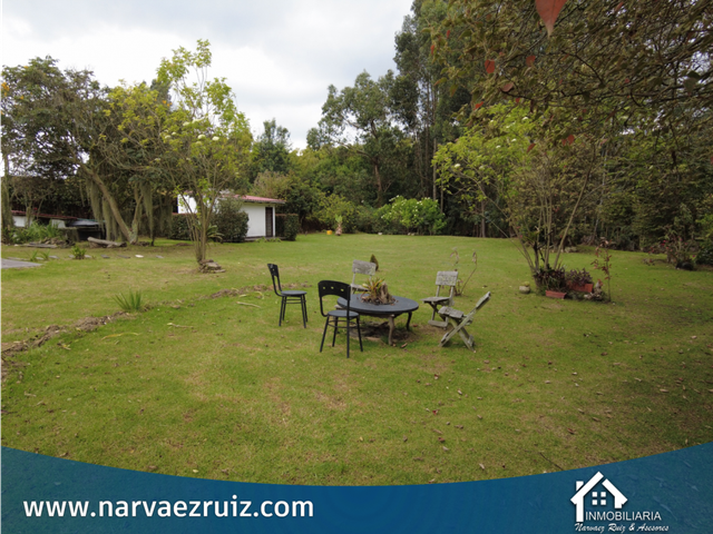 place photo 43