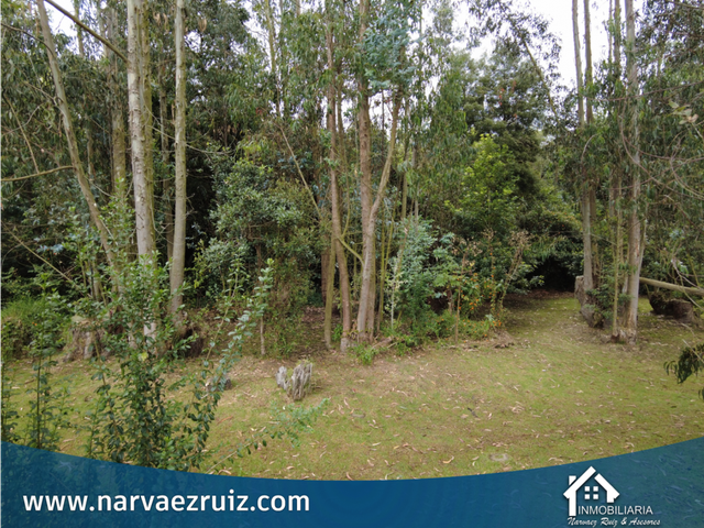 place photo 45