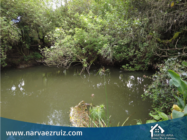 place photo 47