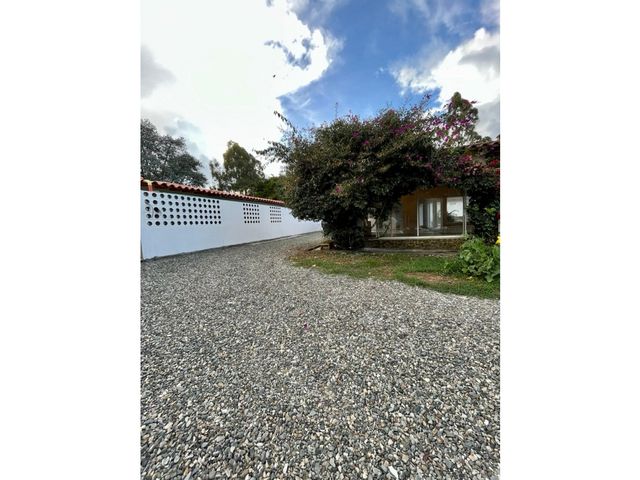 place photo 49