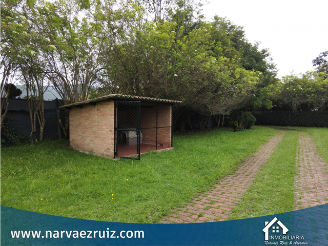 place photo 48