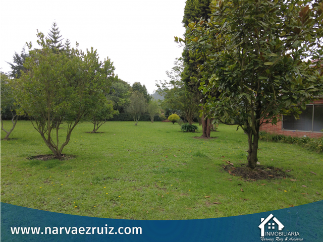place photo 49