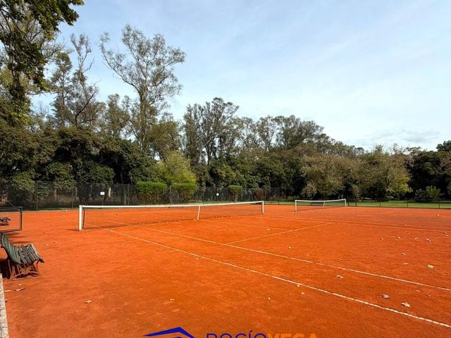 place photo 41