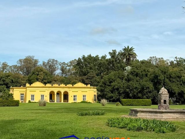 place photo 40
