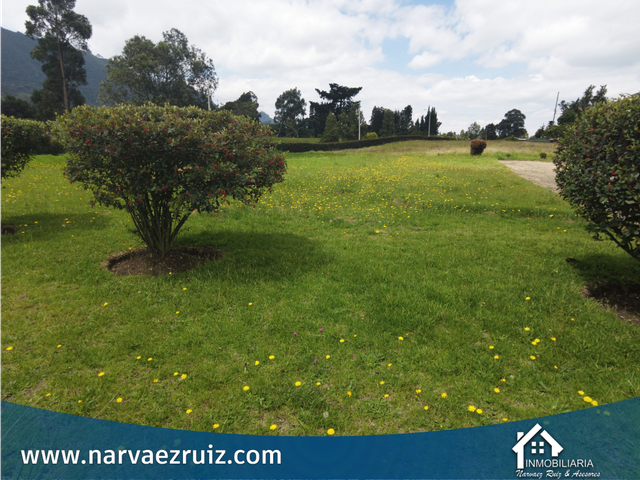 place photo 40