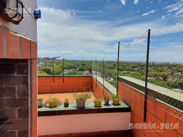 place photo 34
