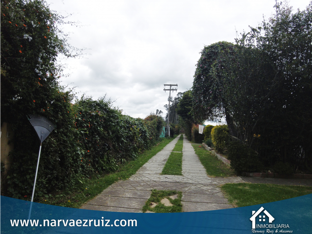 place photo 53
