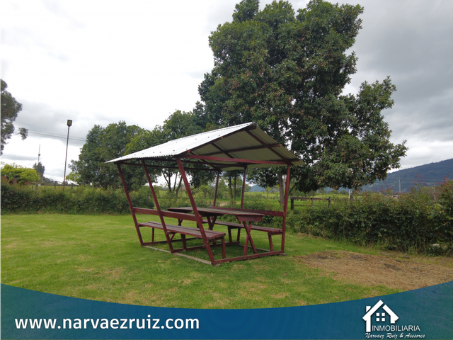 place photo 35