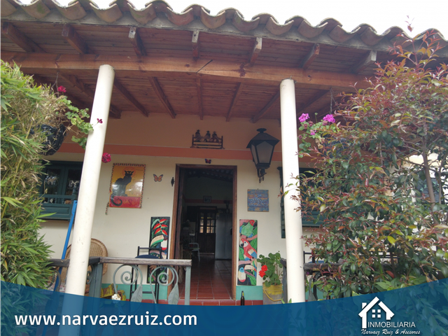 place photo 37