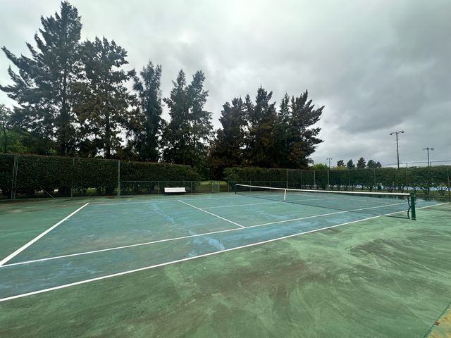 place photo 32