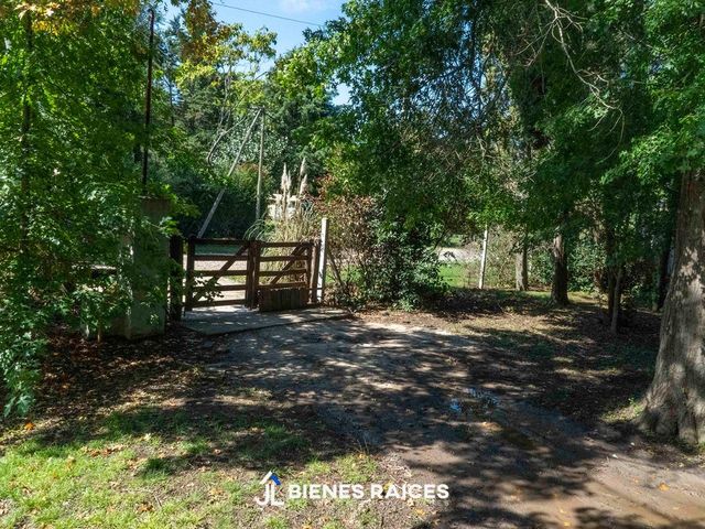 place photo 41