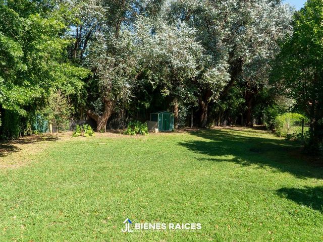 place photo 39