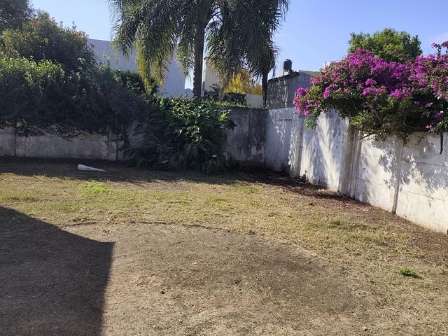 place photo 24
