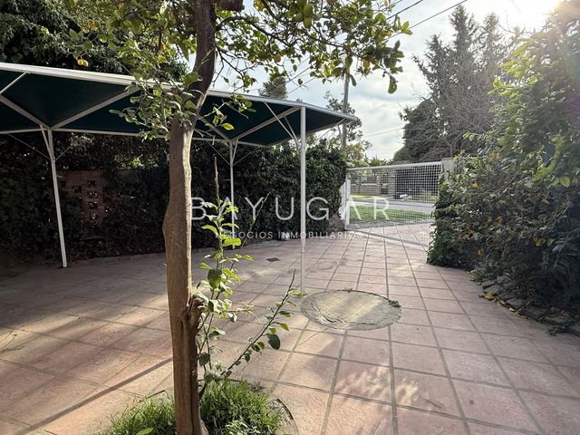 place photo 38