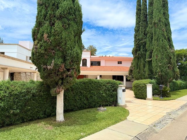 place photo 44