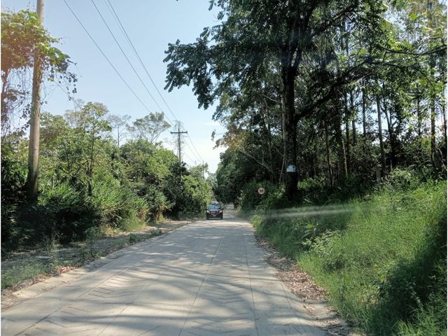 place photo 22