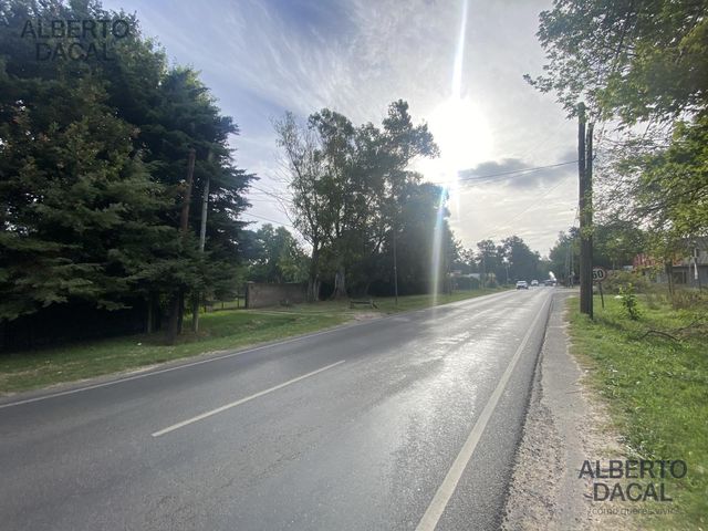 place photo 48