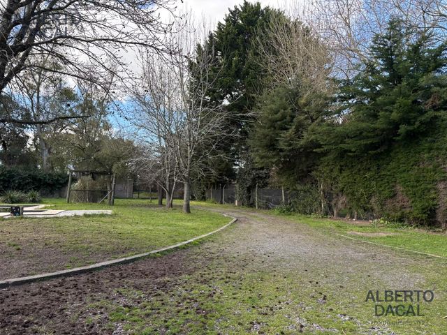 place photo 45