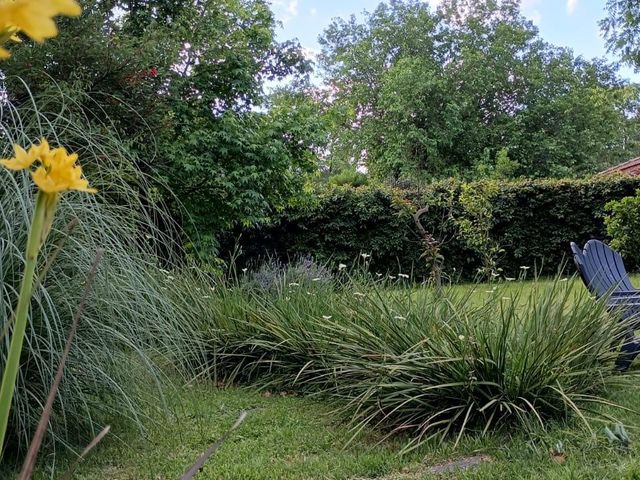 place photo 34