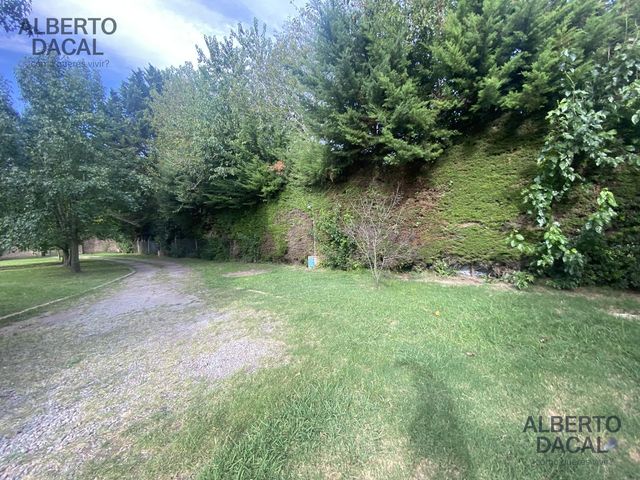 place photo 49