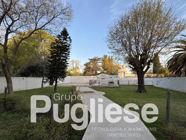 place photo 16