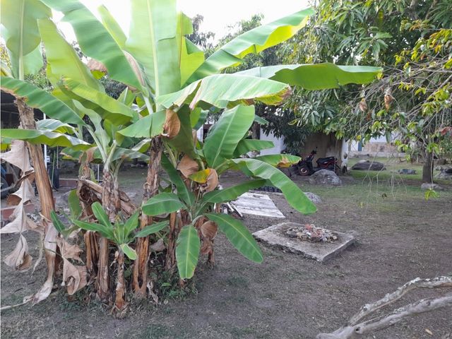 place photo 39