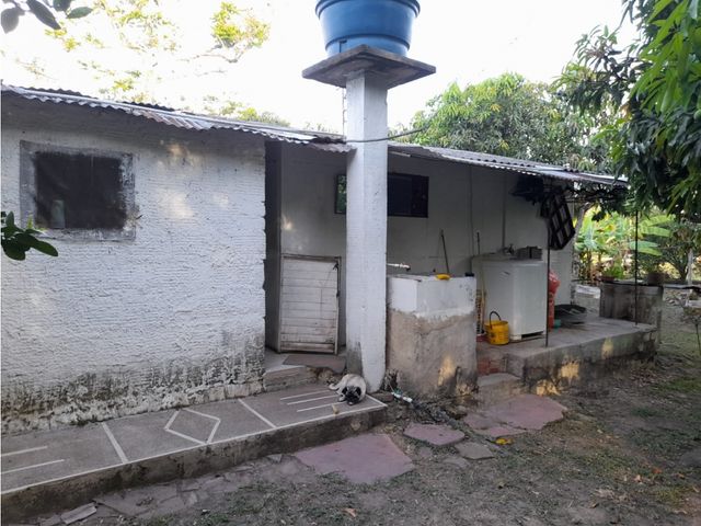 place photo 47