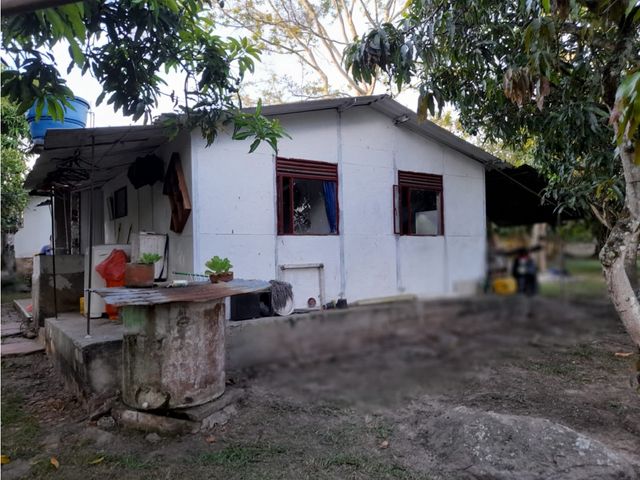 place photo 46