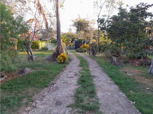 place photo 44