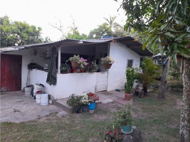place photo 45