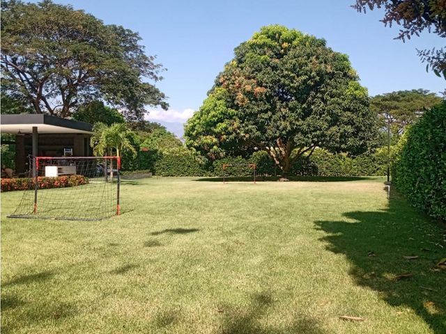 place photo 38