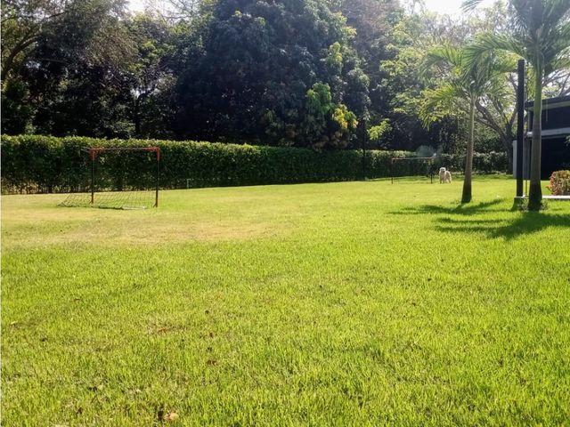 place photo 39