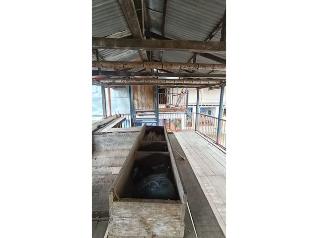 place photo 36