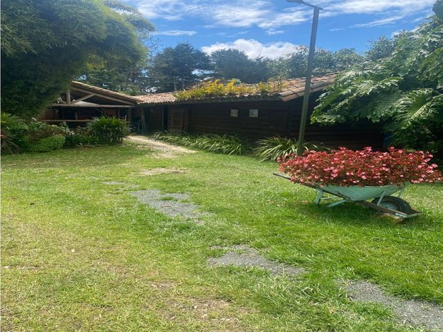 place photo 48