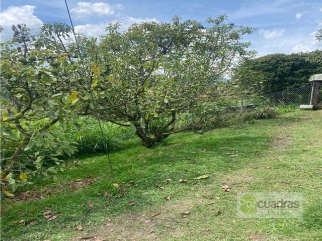 place photo 64