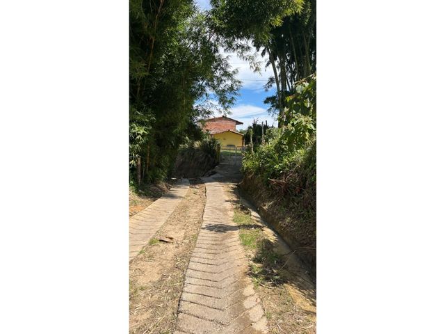 place photo 48