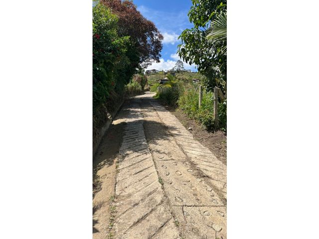 place photo 45